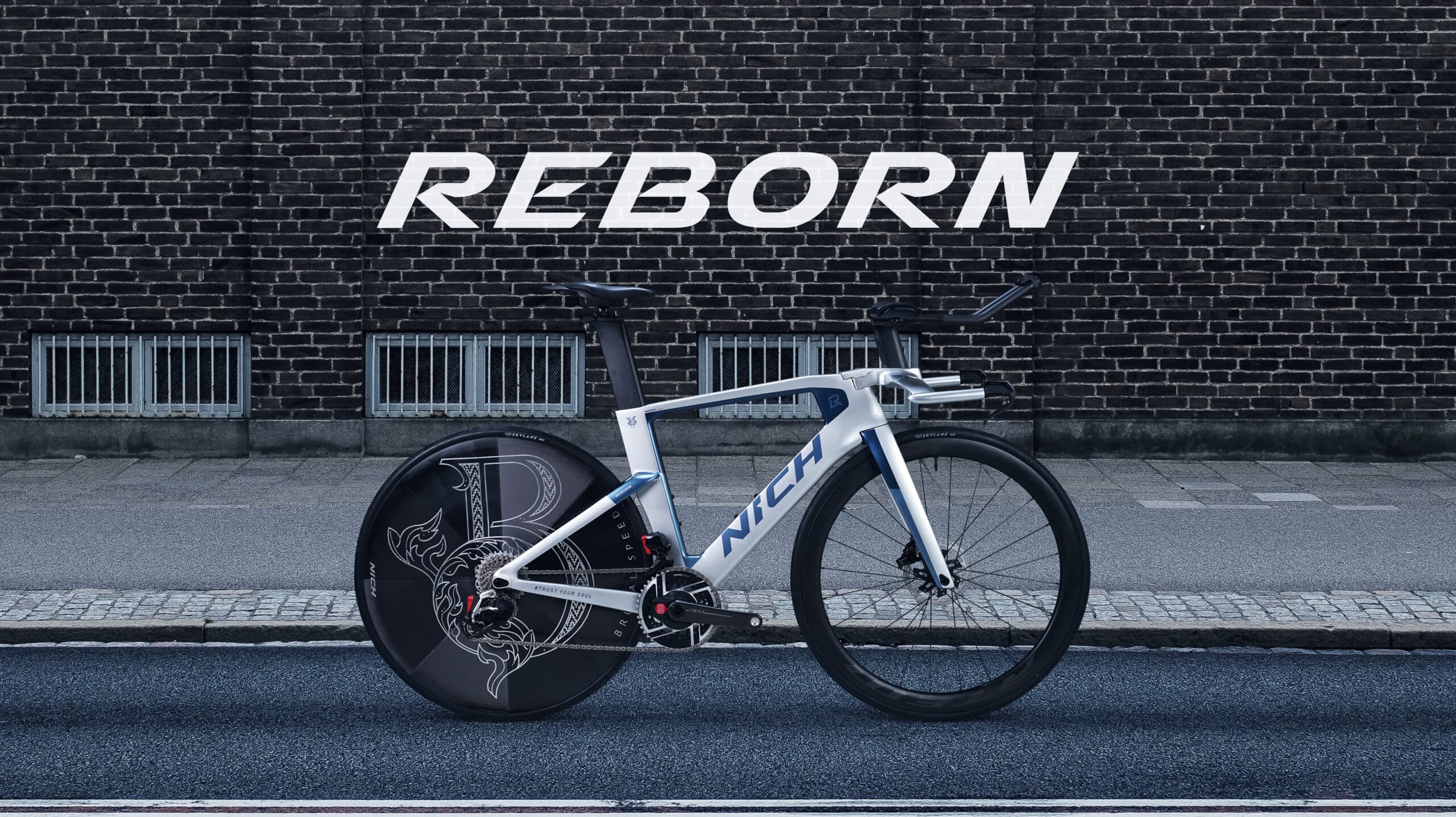 NICH REBORN Road / TT bike